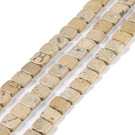 Natural White Picture Jasper Beads Strands, 2-Hole, Rectangle