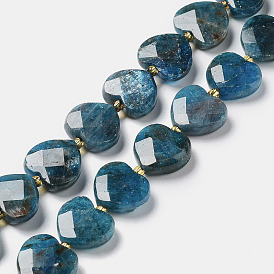 Natural Apatite Beads Strands, Faceted Love Heart, with Seed Beads