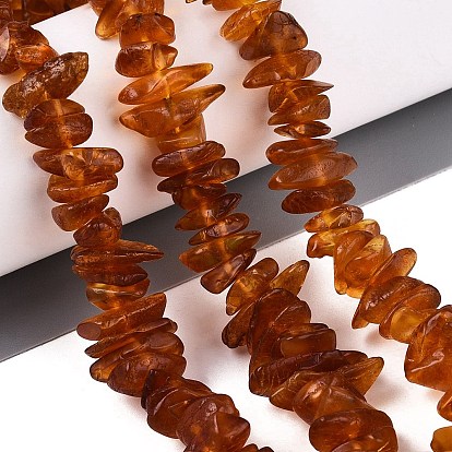 Natural Amber Beads Strands, Chip