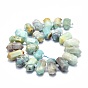 Natural Flower Amazonite Beads Strands, Faceted, Double Terminated Pointed/Bullet