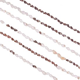 Sea Shell Beads