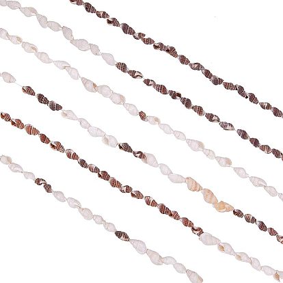 Sea Shell Beads