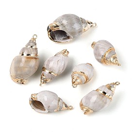 Гальванические подвески из натуральной спирали в ракушке, Подвески в виде раковин с петлями из железа золотистого оттенка.