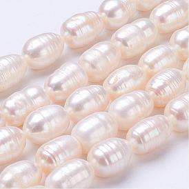 Natural Cultured Freshwater Pearl Beads Strands, Rice