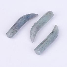 Natural Labradorite Beads, No Hole/Undrilled, Ivory Shape