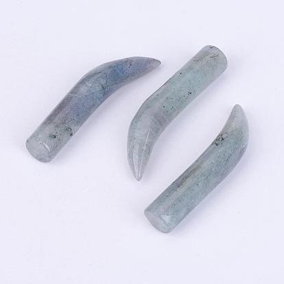 Natural Labradorite Beads, No Hole/Undrilled, Ivory Shape