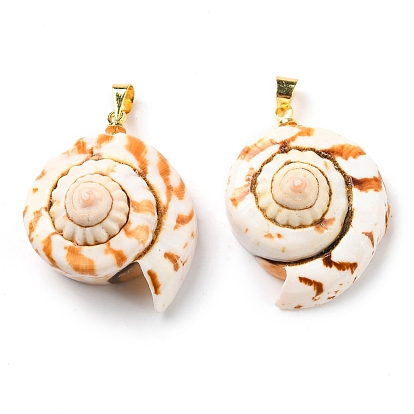 Natural Spiral Shell Red Lip Shell Pendants, Shell Charms with Golden Plated Brass Findings