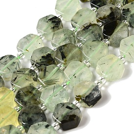 Natural Prehnite Beads Strands, Hexagon, with Seed Beads