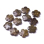 Natural Bronzite Beads Strands, Flower