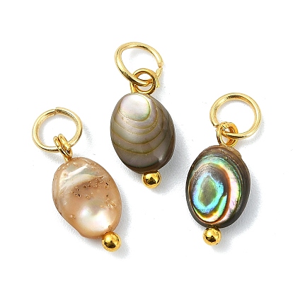 Природные пауа оболочки подвески, плоские овальные подвески с петлями из нержавеющей стали