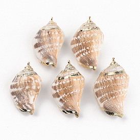 Electroplate Natural Spiral Shell Pendants, with Golden Iron Loops