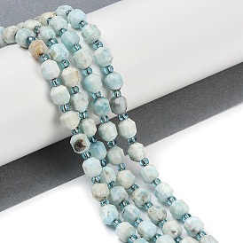 Natural Larimar Beads Strands, Faceted, Bicone, Double Terminated Point Prism Beads