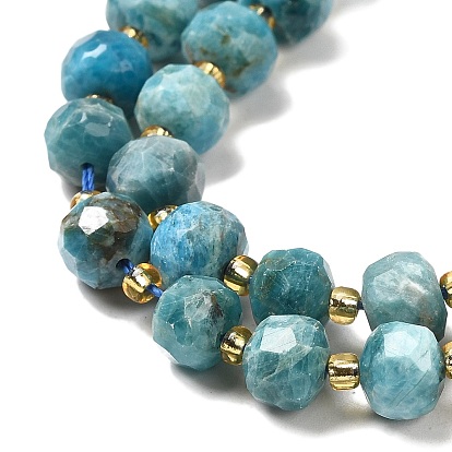 Natural Apatite Beads Strands, with Seed Beads, Faceted Rondelle