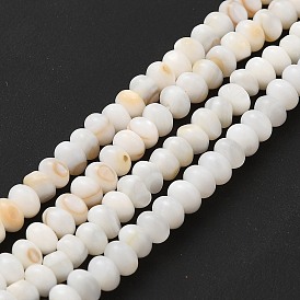 Natural Freshwater Shell Beads Strands, Rondelle