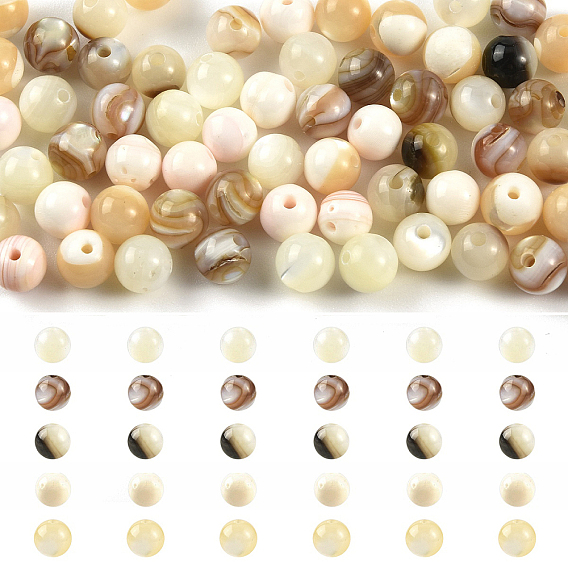 100Pcs 5 Styles Natural White Shell & Trochid Shell & Freshwater Shell Beads, Round