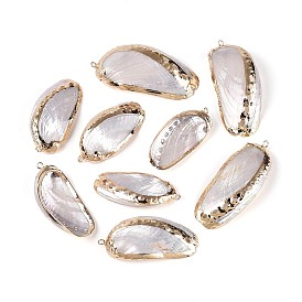 Подвески из натуральных морских ракушек, покрытые методом гальванического покрытия, подвески в форме ракушек, с медными петлями, золотые