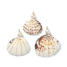 Natural Shell Copper Wire Wrapped Pendants, Shell Shaped Charms with Round Shell Pearl Beads, Light Gold
