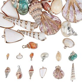 Electroplate Natural Spiral & Cowrie & Sea Shell Pendants, with Brass Findings