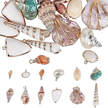Electroplate Natural Spiral & Cowrie & Sea Shell Pendants, with Brass Findings