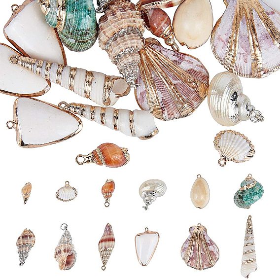 Electroplate Natural Spiral & Cowrie & Sea Shell Pendants, with Brass Findings
