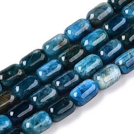 Natural Apatite Beads Strands, Faceted, Column