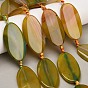 Natural Agate Beads Strands, Flat Oval, Dyed & Heated