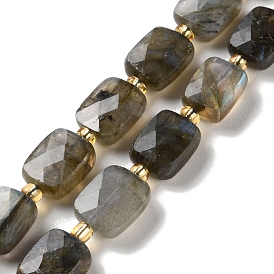 Natural Labradorite Beads Strands, Faceted, Rectangle,  with Seed Beads