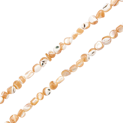 2 Strands Natural Trochid Shell/Trochus Shell Beads Strands, Nuggets Chips
