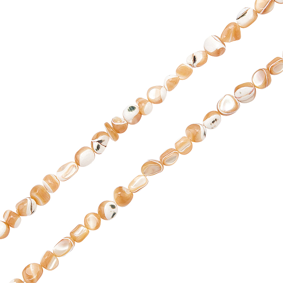 2 Strands Natural Trochid Shell/Trochus Shell Beads Strands, Nuggets Chips
