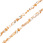 2 Strands Natural Trochid Shell/Trochus Shell Beads Strands, Nuggets Chips