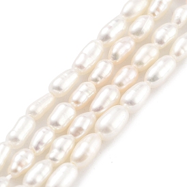 Natural Cultured Freshwater Pearl Beads Strands, Rice, Grade 5A