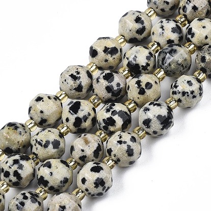 Natural Dalmatian Jasper Beads Strands, with Seed Beads, Faceted Bicone Barrel Drum