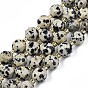 Natural Dalmatian Jasper Beads Strands, with Seed Beads, Faceted Bicone Barrel Drum