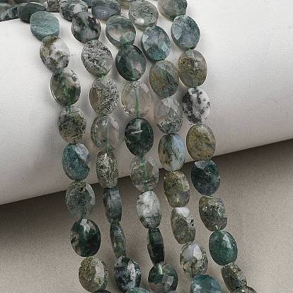 Natural Tree Agate Beads Strands, Faceted, Flat Oval