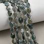 Natural Moss Agate Beads Strands, Faceted, Flat Oval