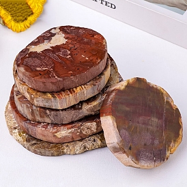 Flat Round Natural Petrified Wood Cup Mat, Home Decoration