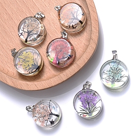 3Pcs Dry Flower in Glass Pendants, Flat Round Charms