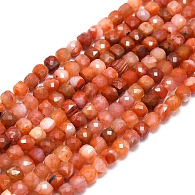 Natural Red Agate Beads Strands, Faceted, Cube