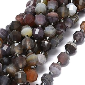 Natural Botswana Agate Beads Strands, with Seed Beads, Faceted, Bicone, Double Terminated Point Prism Beads