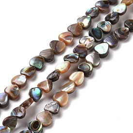 Natural Paua Shell Beads Strands, Heart