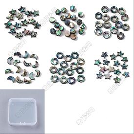 12 Stück 6 Stile natürliche Abalone-Muschel / Paua-Muschelperlen, Stern & Mond & flach rund & Ring, Mischformen