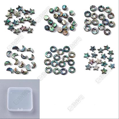 12 Stück 6 Stile natürliche Abalone-Muschel / Paua-Muschelperlen, Stern & Mond & flach rund & Ring, Mischformen