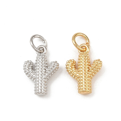 Латунные подвески, кактус прелести, долговечный, без свинца и без кадмия, стойки покрытие, с целью перехода в кольце