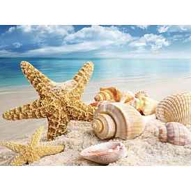 Starfish & Shell Pattern Beach Theme DIY Diamond Painting Kit, Including Resin Rhinestones Bag, Diamond Sticky Pen, Tray Plate and Glue Clay