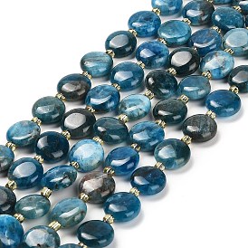 Natural Apatite Beads Strands, with Seed Beads, Flat Round