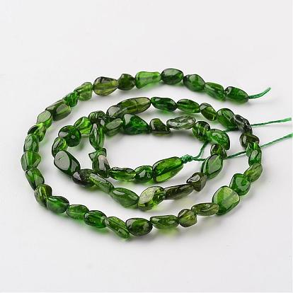 Natural Diopside Beads Strands, Chips, 6~12x5~8x4~6mm, Hole: 1mm, about 15.7 inch