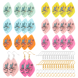 Nbeads DIY Kits, Including 24Pcs 6 Colors Cellulose Acetate(Resin) Pendants, 48Pcs 2 Colors Brass Earring Hooks and 48Pcs 2 Colors Jump Rings