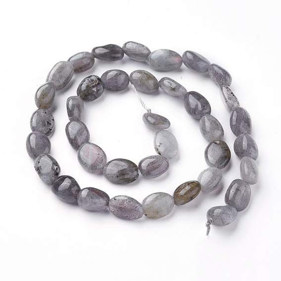 Cuentas labradorita natural hebras, oval