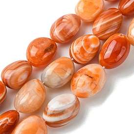 Natural Red Botswana Agate Beads Strands, Oval