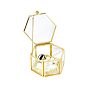 Glass Jewelry Presentation Boxes with Golden Tone Metal Frame, for Necklaces Storage, Hexagon